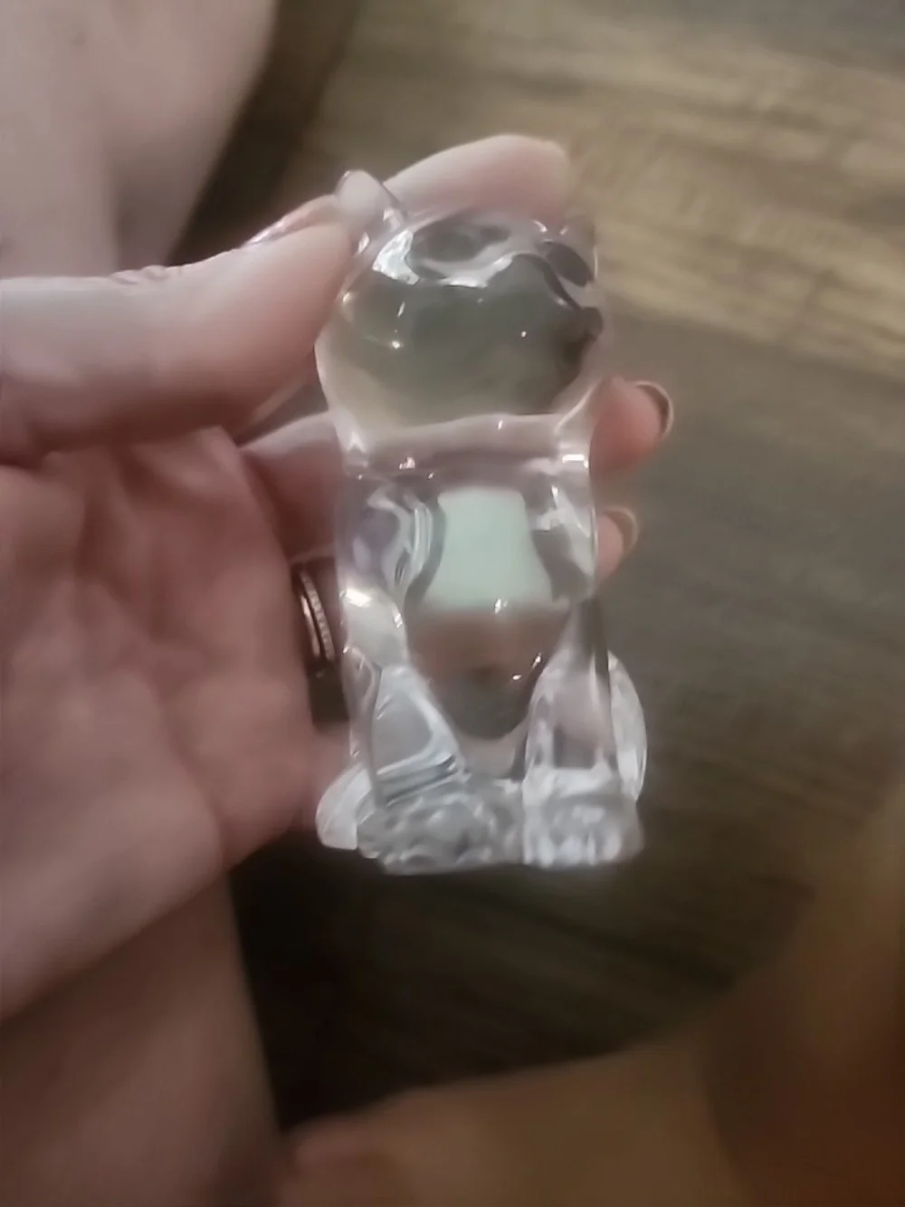 Crystal Cat Salt And Pepper Shaker Set And Paper Weight